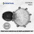 PENTAIR CHECK VALVE REPLACEMENT KIT 263042Z